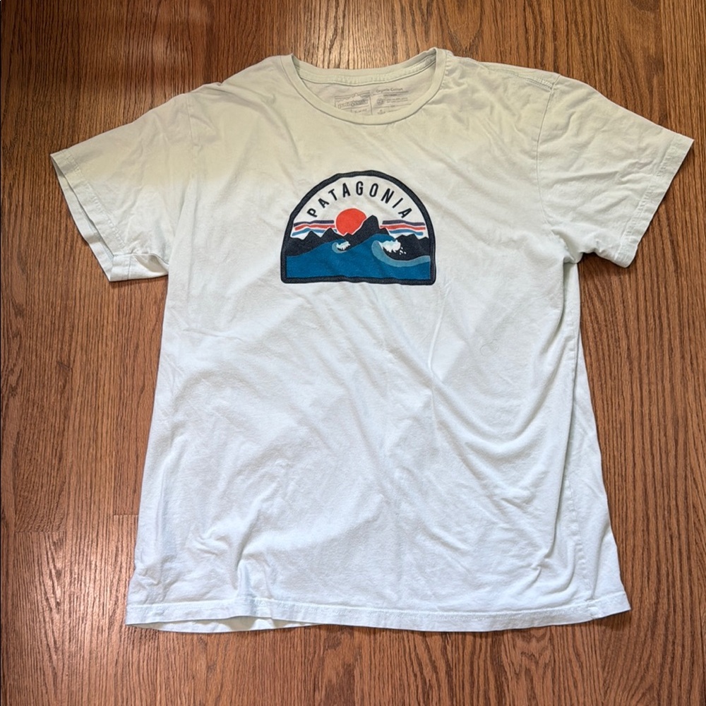 Patagonia T-shirt